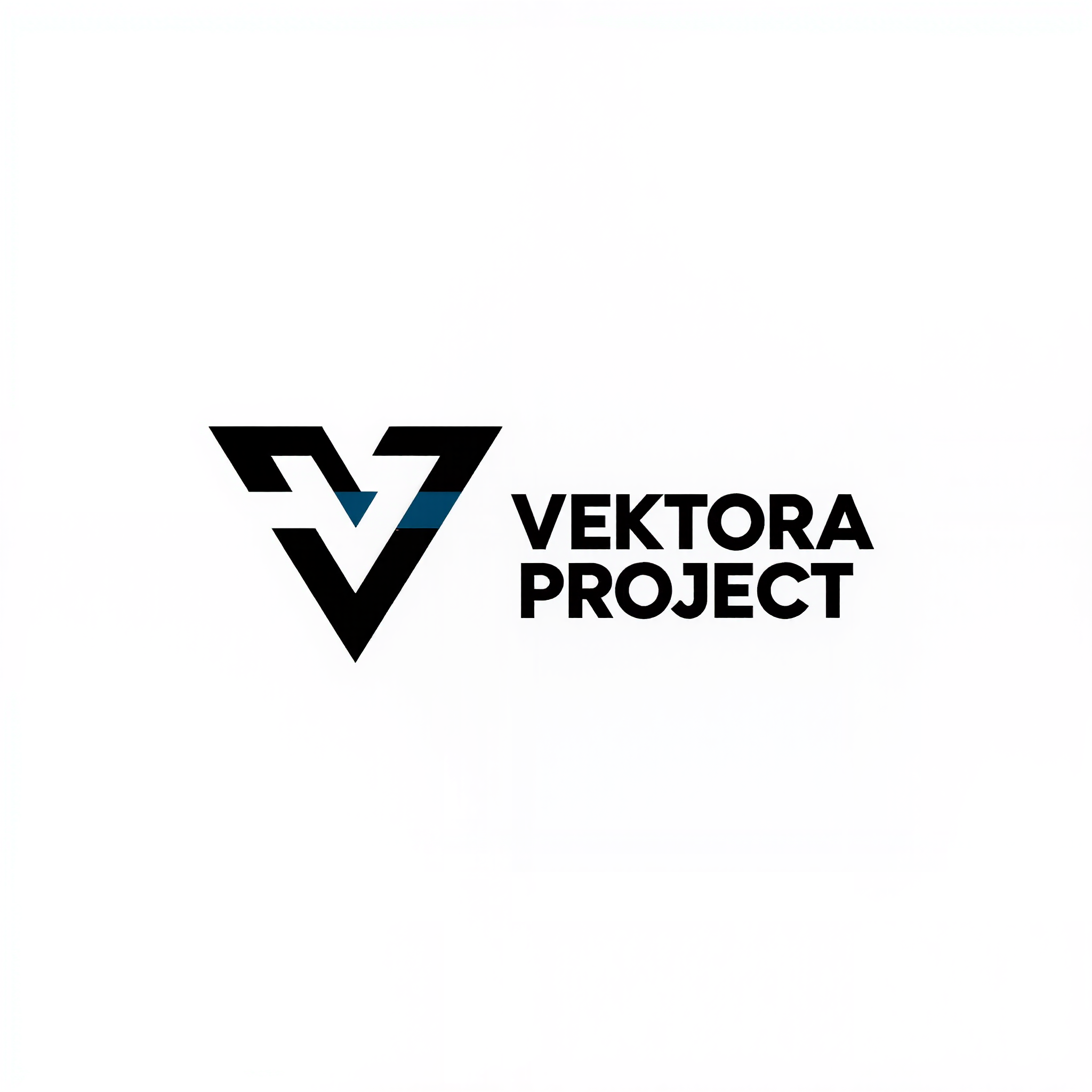 Vektora Project